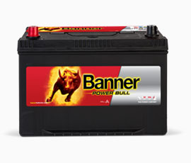 Power Bull 95 AH TK.